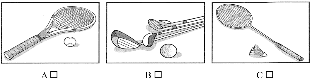 Đề thi học sinh giỏi Tiếng Anh lớp 9 cấp tỉnh có đáp án