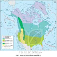 Chứng minh rằng Bắc Mỹ có thành phần chủng tộc đa dạng