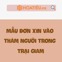 Mẫu đơn xin vào thăm gặp phạm nhân trong trại giam 2024 và cách viết