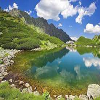 Nêu những việc làm phù hợp với em để góp phần giảm thiểu hiệu ứng nhà kính