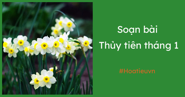 Soạn văn 7 bài Thủy tiên tháng Một 