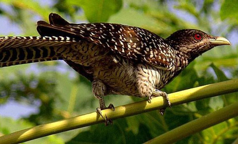 Cảm nhận của em về bài thơ Từ ấy