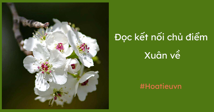 Soạn bài Xuân về lớp 10 CTST