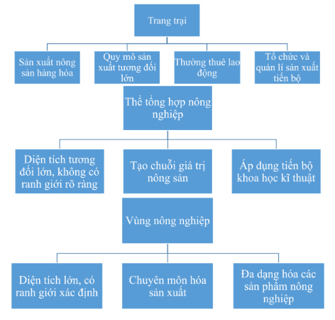 Hãy lập sơ đồ để hệ thống hoá đặc điểm của các hình thức tổ chức lãnh thổ nông nghiệp