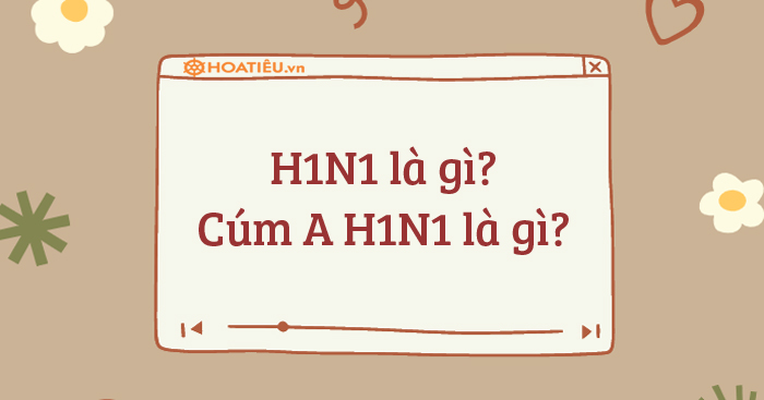 H1N1 là gì? 