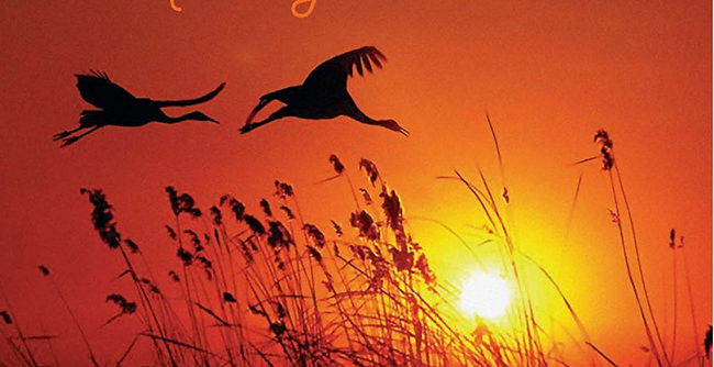 Trình bày cảm nhận của em về bài thơ Chiều tối của Hồ Chí Minh 