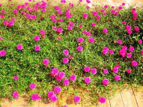 Đề thi học kì 2 môn KHTN lớp 7 Chân trời sáng tạo