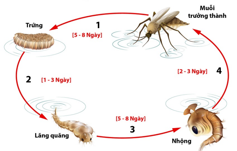 Đề thi học kì 2 môn KHTN lớp 7 Chân trời sáng tạo