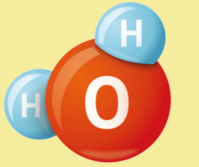 Đề thi giữa kì 1 Khoa học tự nhiên 7 KNTT