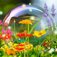 Bộ đề thi học kì 2 môn Sinh học lớp 11