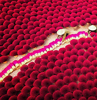 Soạn bài Nghệ thuật truyền thống của người Việt ngắn gọn