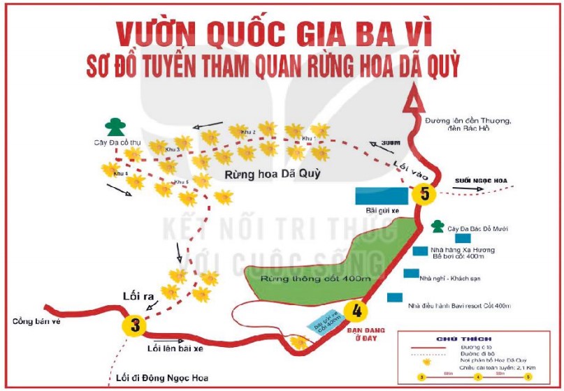 Soạn bài Sử dụng phương tiện phi ngôn ngữ ngắn