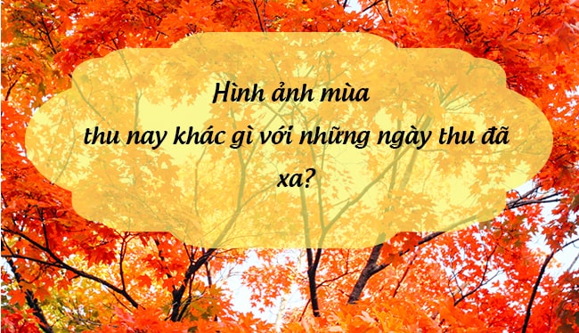 Theo bạn, Hình ảnh "mùa thu nay" khác gì với "những ngày thu đã xa"?