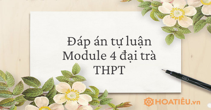Đáp án tự luận Module 4 đại trà