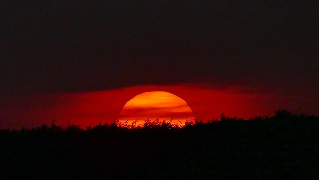 Dàn ý phân tích vẻ đẹp cổ điển và hiện đại của bài thơ Chiều Tối