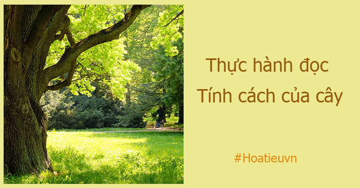 Thực hành đọc Tính cách của cây