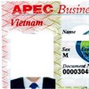 Quyết định 09/2023/QĐ-TTg cấp và quản lý thẻ đi lại doanh nhân APEC