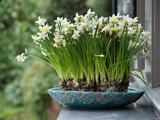  Chiếc bình nứt đọc hiểu 