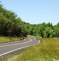 Làm thế nào để chúng ta can đảm hơn trong những lựa chọn của mình trên hành trình trưởng thành