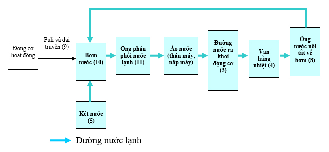 Đề thi Công nghệ 11 cuối học kì 2 có đáp án