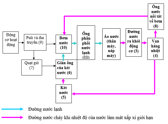Đề thi Công nghệ 11 cuối học kì 2 có đáp án