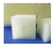 Đề thi cuối kì 2 lớp 10 môn Công nghệ Cánh Diều