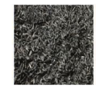 Đề thi cuối kì 2 lớp 10 môn Công nghệ Cánh Diều