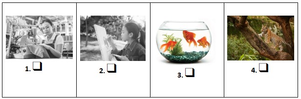 Đề thi học kì 2 Tiếng Anh lớp 3 Global Success