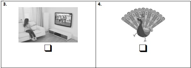 Đề thi Tiếng Anh 3 Global Success