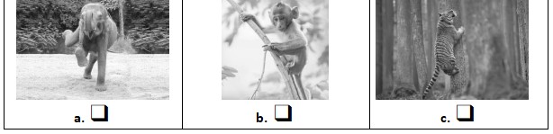 Đề thi học kì 2 Tiếng Anh lớp 3 Global Success