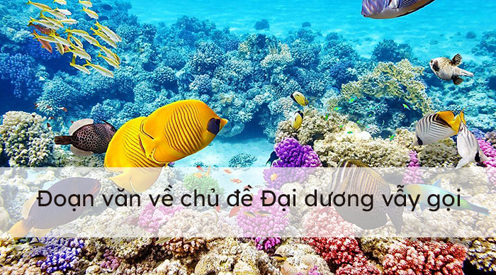 Hãy viết đoạn văn về chủ đề: Đại dương vẫy gọi