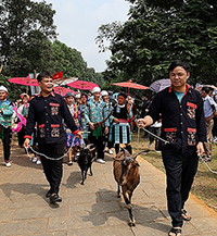 Tóm tắt văn bản Phương tiện vận chuyển của các dân tộc thiểu số Việt Nam ngày xưa