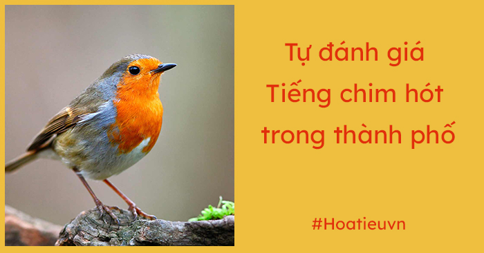 Soạn Văn 7 tập 2 trang 71 Cánh Diều