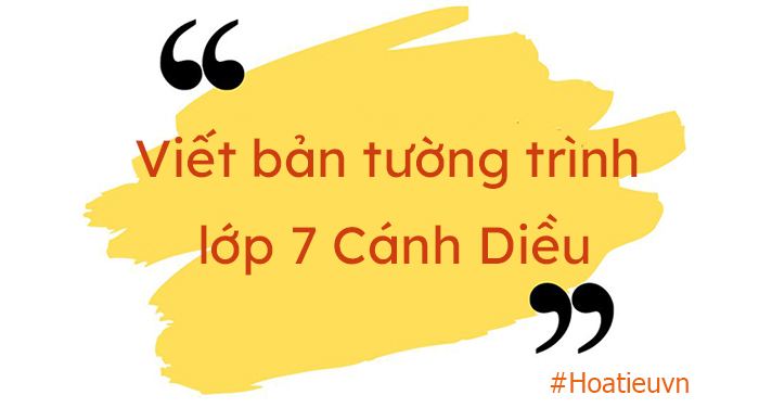 Soạn Viết bản tường trình Cánh Diều ngắn gọn