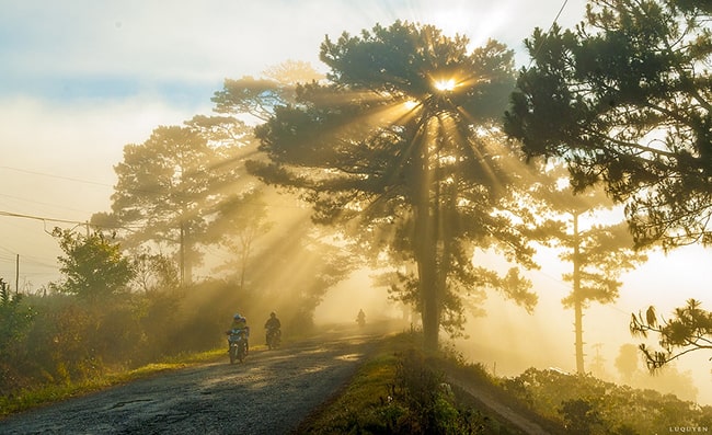 Cảm nhận khổ thơ đầu bài Từ ấy