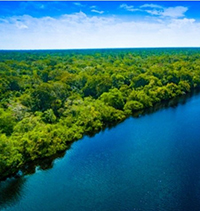 Cảm nhận 2 khổ thơ cuối bài Tràng Giang