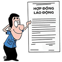 Mẫu hợp đồng lao động trong cơ quan hành chính, đơn vị sự nghiệp công