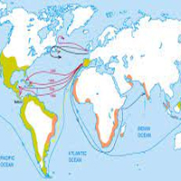 Nguyên nhân và điều kiện của các cuộc phát kiến địa lí