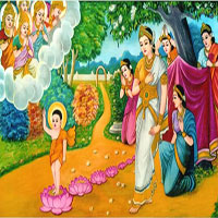 Hình ảnh Đức Phật Đản sinh đẹp nhất