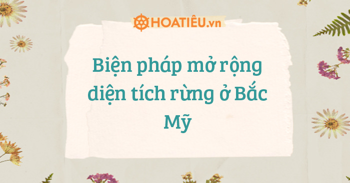 Biện pháp mở rộng diện tích rừng ở Bắc Mỹ