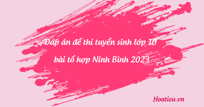 Đáp án bài thi môn Tổ hợp vào 10 2023 Ninh Bình
