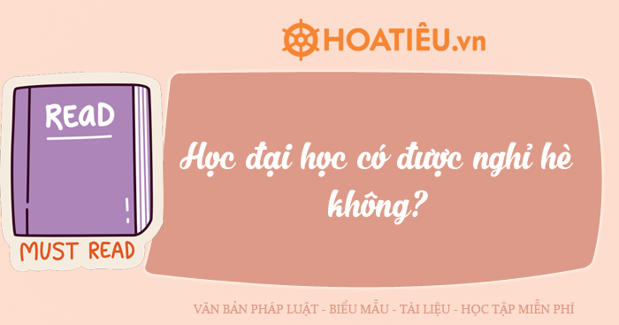 Học đại học có được nghỉ hè không?