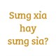 Sưng xỉa hay sưng sỉa, từ nào đúng chính tả?