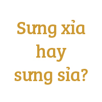Sưng xỉa hay sưng sỉa, từ nào đúng chính tả?