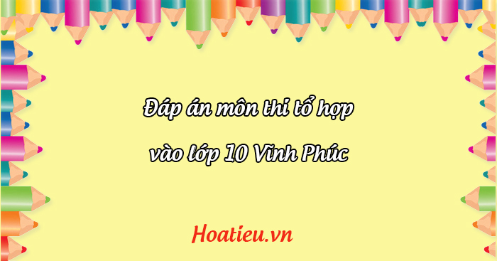 Đáp án đề thi tuyển sinh lớp 10 Vĩnh Phúc môn Tổ hợp