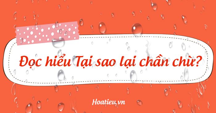 Đọc hiểu Tại sao lại chần chừ