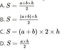 Đề thi vào lớp 6 môn Toán trường Marie Curie