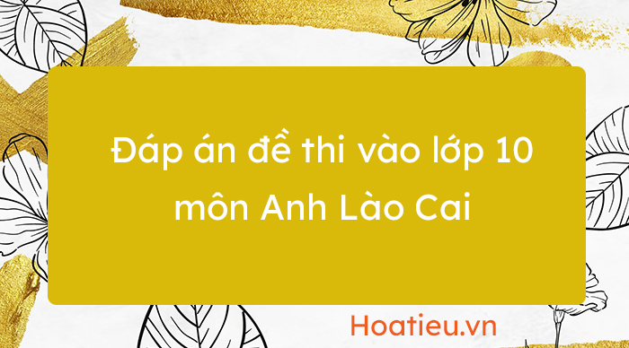 Đáp án đề thi tuyển sinh lớp 10 môn Anh lào Cai 2023