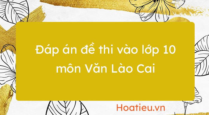 Đáp án đề tuyển sinh lớp 10 môn Văn Lào Cai 2023