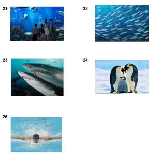 Đề thi Tiếng Anh vào lớp 6 trường Nguyễn Tất Thành